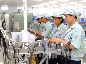A Japanese enterprise in Vietnam (Source: VNA)